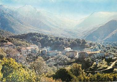 / CPSM FRANCE 20 "Corse, Argiusta Moriccio, vue partielle du village"