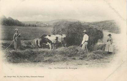 / CPA FRANCE 63 "La Fenaison en Auvergne"