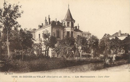 / CPA FRANCE 43 "Saint Didier en Velay, les marronniers"