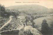 43 Haute Loire / CPA FRANCE 43 "Montfaucon, vallée de la Dunière au pont de la Vache"