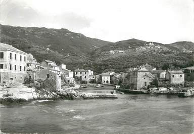 / CPSM FRANCE 20 "Corse, le port de pêche de Centuri"