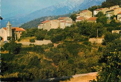 / CPSM FRANCE 20 "Corse, Carbuccia, vue partielle du village"