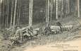 / CPA FRANCE 88 "Gerardmer, le schlittage des bois dans la montagne"