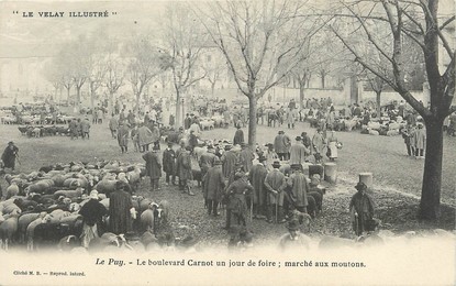 / CPA FRANCE 43 "Le Puy, le bld Carnot un jour de foire, marché aux moutons"