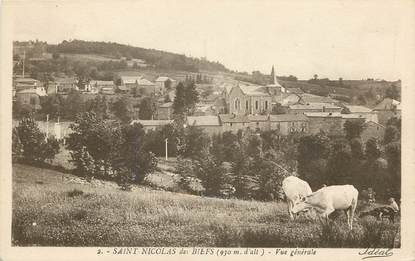 CPA FRANCE 03  "Saint Nicolas des Biefs, vue générale"