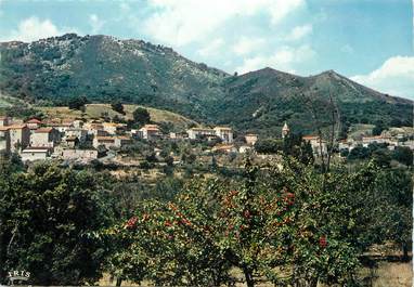 / CPSM FRANCE 20 "Sainte Marie Sicche, vue d'ensemble du village"