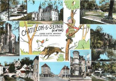 / CPSM FRANCE 21 "Chatillon sur Seine"