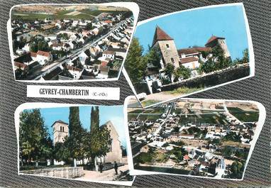 / CPSM FRANCE 21 " Gevrey Chambertin "