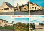 21 Cote D'or / CPSM FRANCE 21 "Marsannay La Cote"