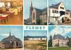 / CPSM FRANCE 22 "Plemet"