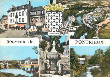 / CPSM FRANCE 22 "Pontrieux"