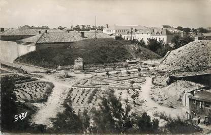 / CPSM FRANCE 17 "Ile de Ré, Saint Martin, la citadelle et les jardins"