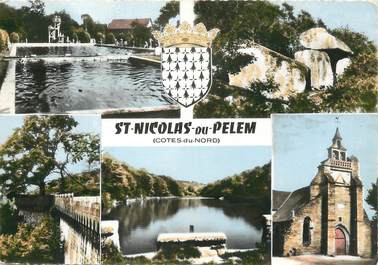 / CPSM FRANCE 22 "Saint Nicolas du Pelem"