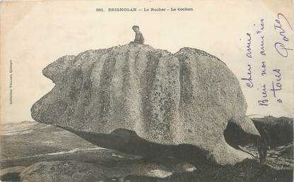 / CPA FRANCE 29 "Brignognan, le rocher, le cochon"