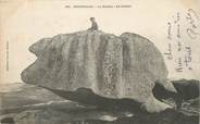 29 Finistere / CPA FRANCE 29 "Brignognan, le rocher, le cochon"