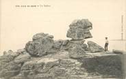 29 Finistere / CPA FRANCE 29 "L'Ile de Saint, le Sphynx"