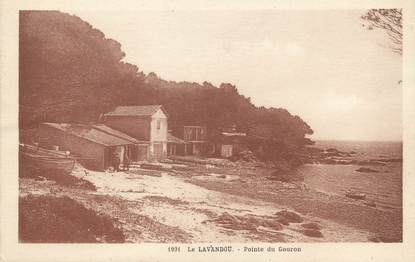 / CPA FRANCE 83 "Le Lavandou, pointe du Gouron"