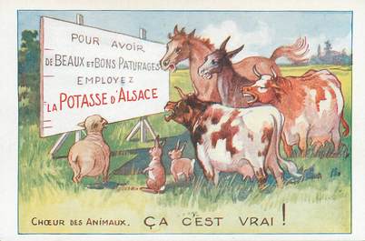 CPA PUBLICITE  /  La Potasse d'Alsace