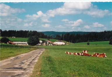 / CPSM FRANCE 25 "Les Granges Tavernier, hameau de Oye et Pallet"