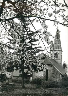 / CPSM FRANCE 25 "Mouthier Hautepierre,  vallée de la Loue "