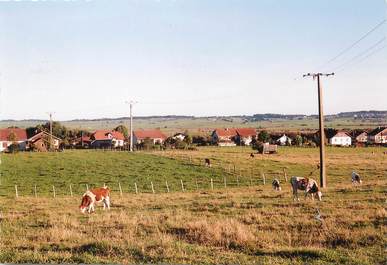 / CPSM FRANCE 25 "Sainte Colombe, une partie du village"