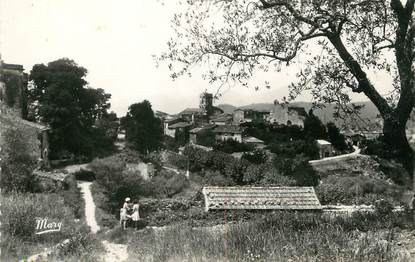 / CPSM FRANCE 83 "Montauroux, vue  générale"