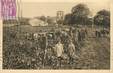 / CPA FRANCE 16 "Vendanges en Charente"