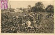 16 Charente / CPA FRANCE 16 "Vendanges en Charente"