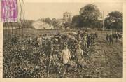 16 Charente / CPA FRANCE 16 "Vendanges en Charente"