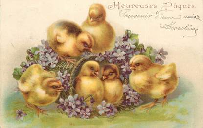   CPA   GAUFREE   /   POUSSIN