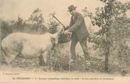 24 Dordogne / CPA FRANCE 24 "En Périgord, groupe sympathique cherchant la truffe"