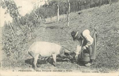 / CPA FRANCE 24 "Périgueux, deux périgords cherchant la truffe"