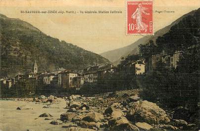 CPA FRANCE 06 "Saint Sauveur sur Tinée, vue générale, station estivale" / CARTE TOILÉE 