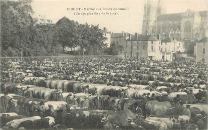 / CPA FRANCE 49 "Cholet, marché au boeuf du samedi"