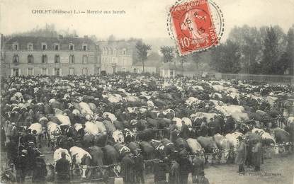 / CPA FRANCE 49 "Cholet, marché aux boeufs"