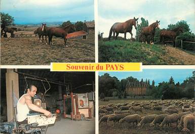 / CPSM FRANCE 26 "Allex" / CHEVAUX