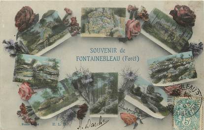 CPA FRANCE 77 "Fontainebleau"