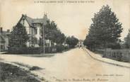 61 Orne / CPA FRANCE 61 "Le Mesle sur Sarthe, l'avenue de la gare et la gare"