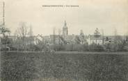 61 Orne / CPA FRANCE 61 "Neuilly sur Eure, vue générale"
