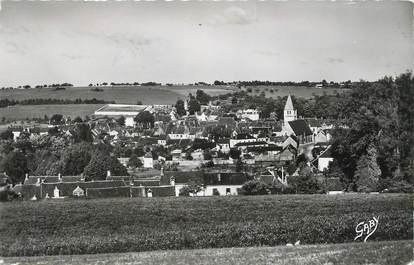 / CPSM FRANCE 61 "Longny au Perche, vue prise de la Roche"