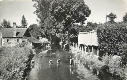 / CPSM FRANCE 61 "Couterne, les bords de la Vée"