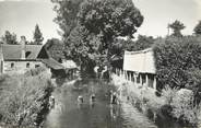 61 Orne / CPSM FRANCE 61 "Couterne, les bords de la Vée"