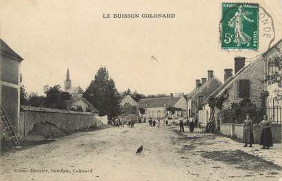 / CPA FRANCE 61 "Le Buisson Colonard"