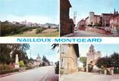 31 Haute Garonne / CPSM FRANCE 31 "Nailloux et Montgeard"