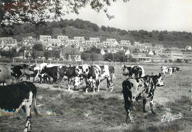 / CPSM FRANCE 76 "Le Trait, la neuville" / VACHE