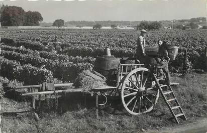 / CPSM FRANCE 37 "Vendanges en Touraine"