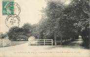 49 Maine Et Loire / CPA FRANCE 49 "La Pointe, l'avenue de la gare et l'entrée du château"