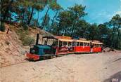 33 Gironde / CPSM FRANCE 33 "Le petit train du Cap Ferret "