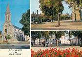 33 Gironde / CPSM FRANCE 33 "Captieux"