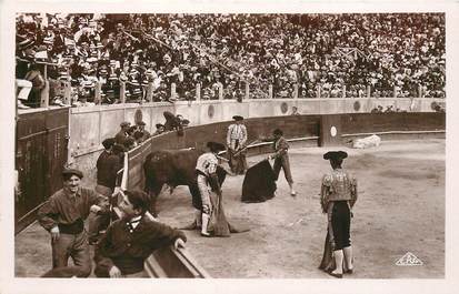 CPSM CORRIDA "Course de taureaux, le coup de grâce au taureau debout"